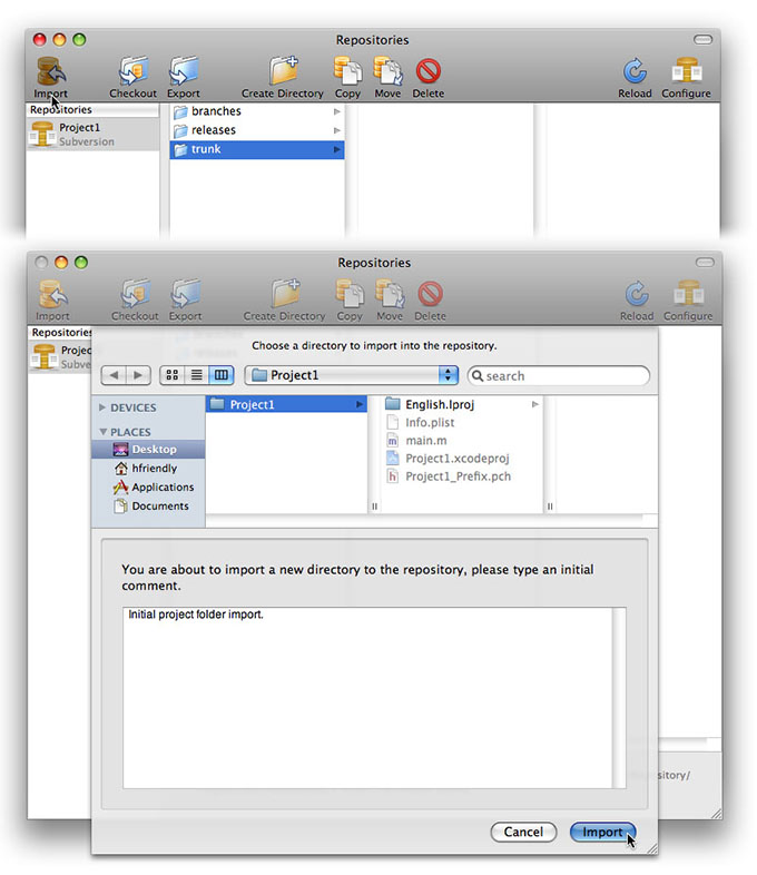Importing a Project to the Repository