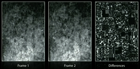 temporal noise