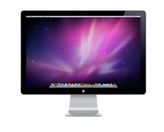 Apple LED Cinema Display (24in. flat panel)